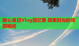 糖心夏日Vlog回忆录 甜蜜时光的绚丽瞬间