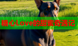 糖心Love的甜蜜奇遇记