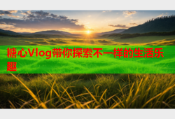 糖心Vlog带你探索不一样的生活乐趣