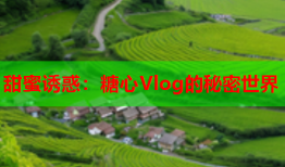 甜蜜诱惑：糖心Vlog的秘密世界