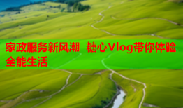 家政服务新风潮 糖心Vlog带你体验全能生活