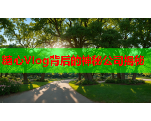 糖心Vlog背后的神秘公司揭秘