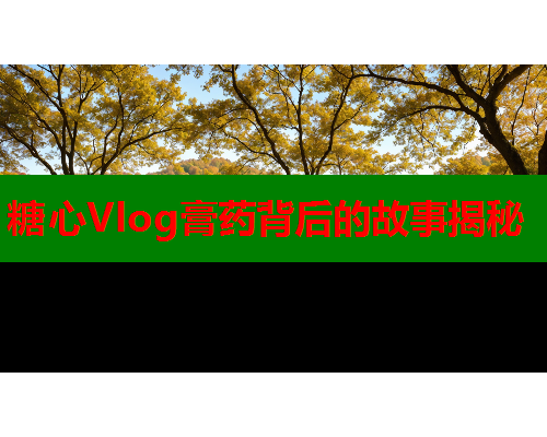 糖心Vlog膏药背后的故事揭秘