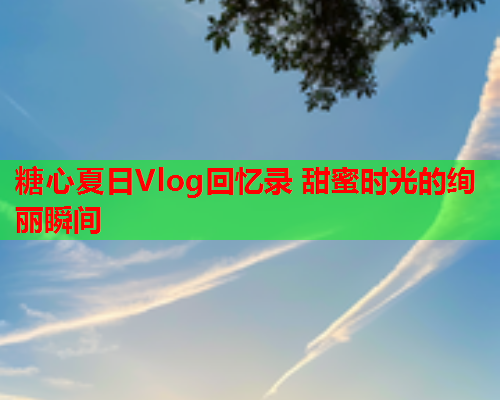 糖心夏日Vlog回忆录 甜蜜时光的绚丽瞬间