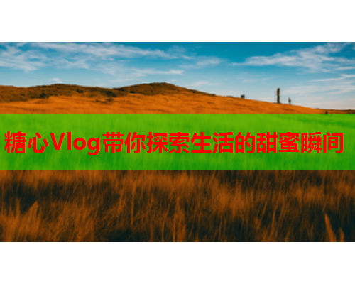 糖心Vlog带你探索生活的甜蜜瞬间