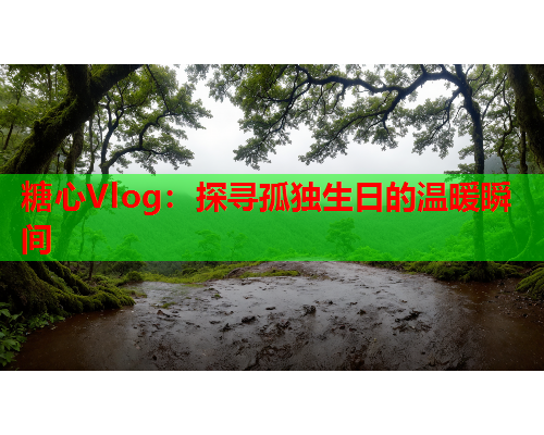 糖心Vlog：探寻孤独生日的温暖瞬间