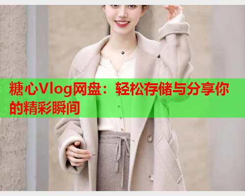 糖心Vlog网盘：轻松存储与分享你的精彩瞬间